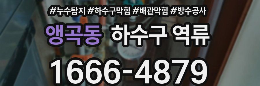 앵곡동 하수구 역류