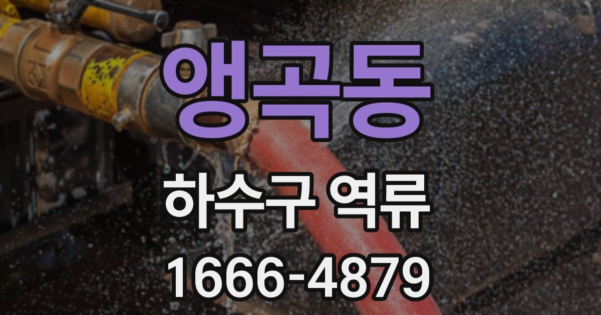 앵곡동 하수구 역류