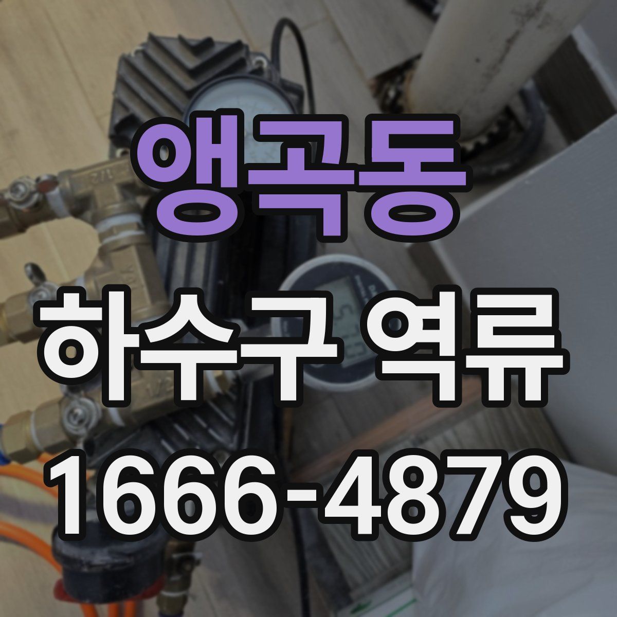 앵곡동 하수구 역류