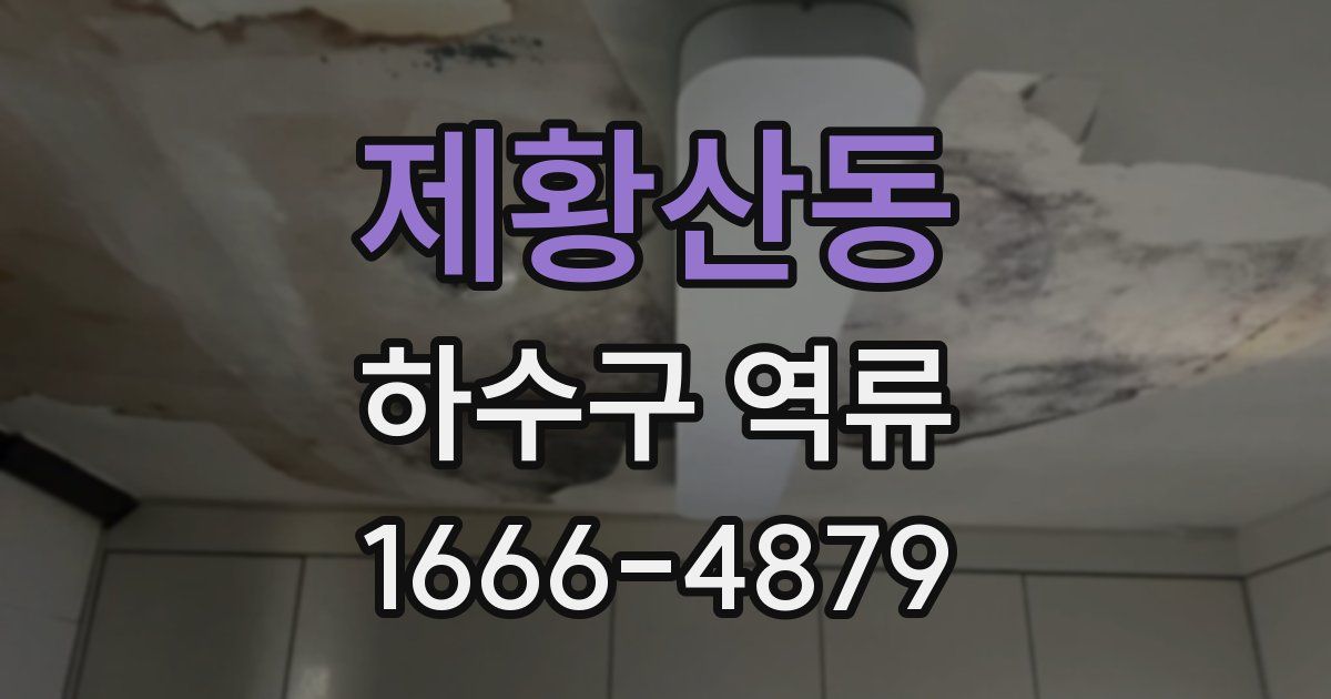 제황산동 하수구 역류