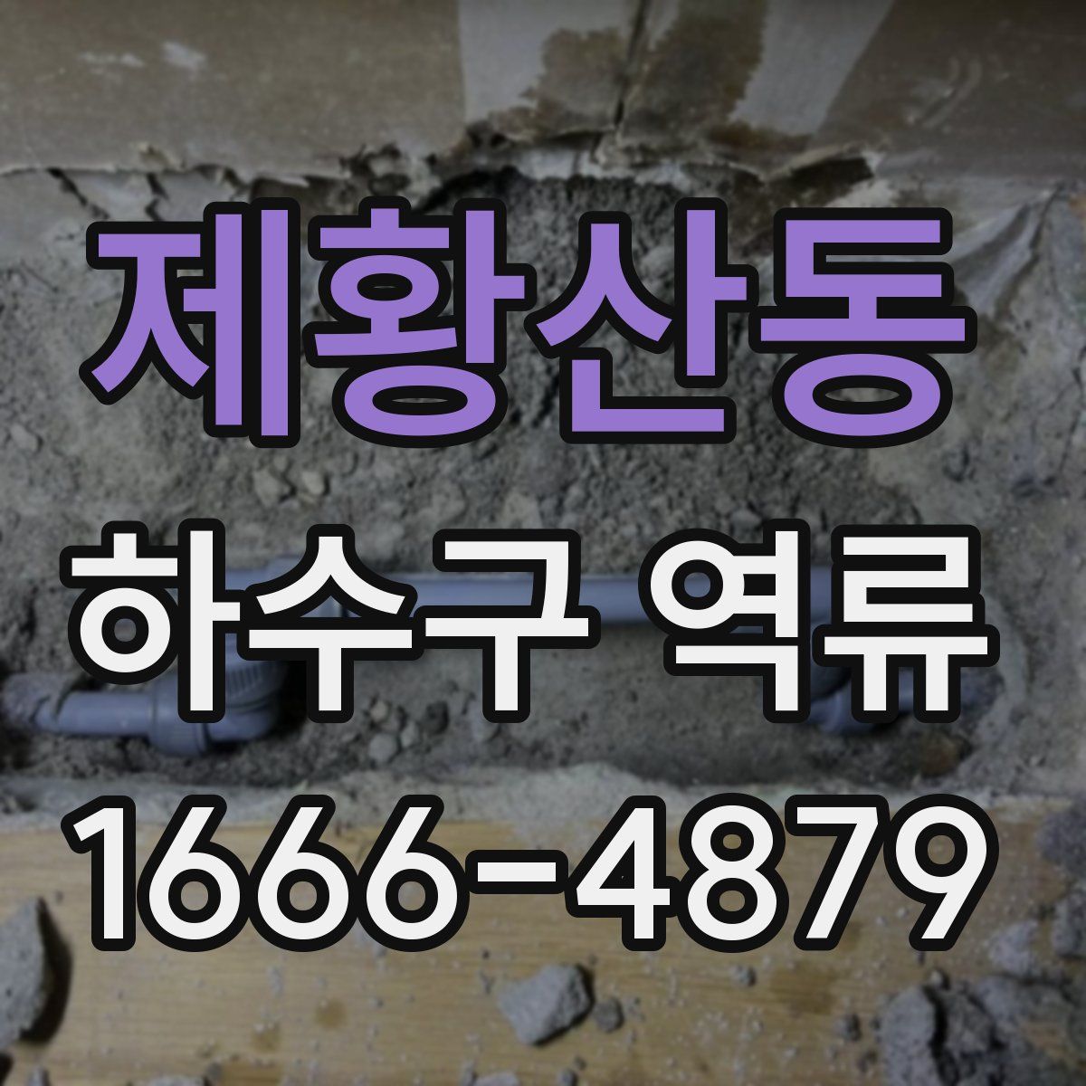 제황산동 하수구 역류