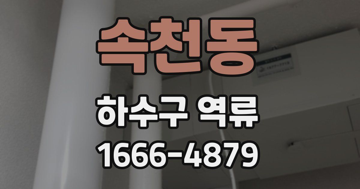 속천동 하수구 역류