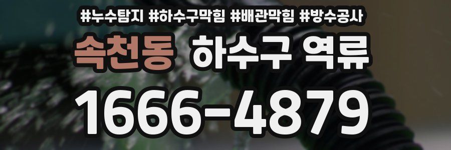 속천동 하수구 역류