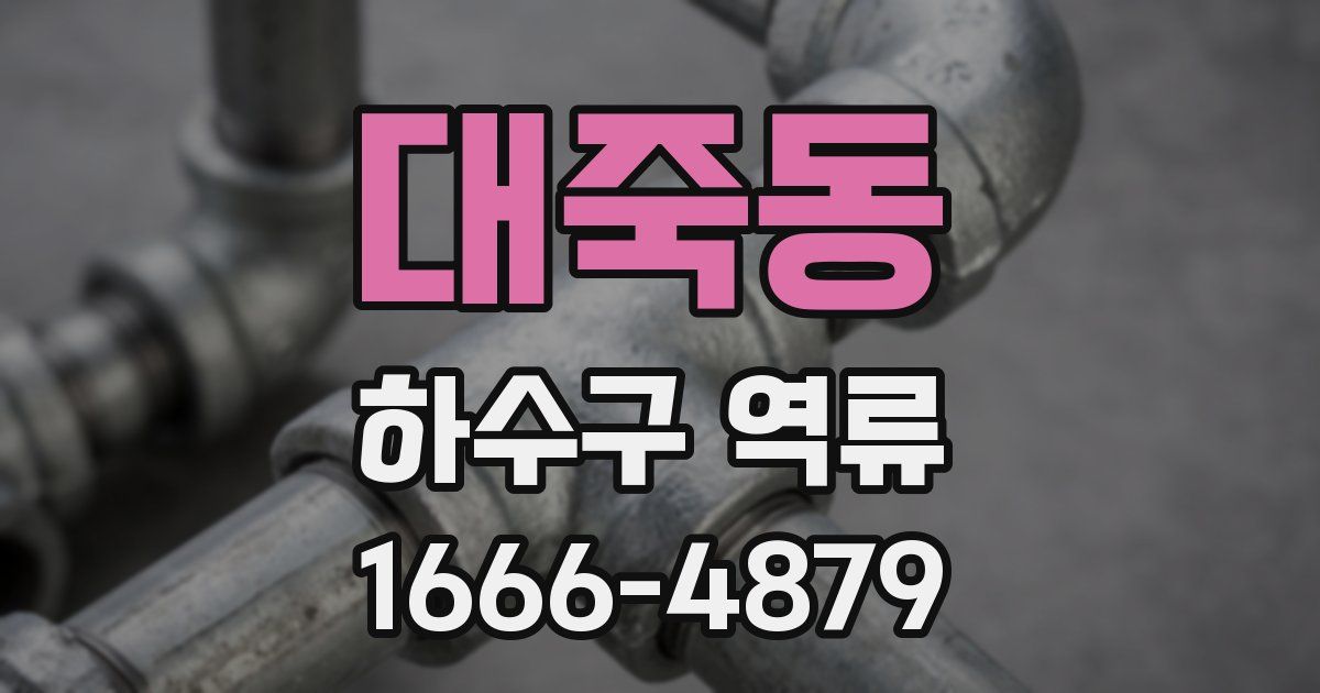 대죽동 하수구 역류
