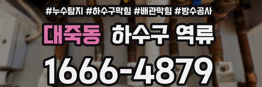 대죽동 하수구 역류