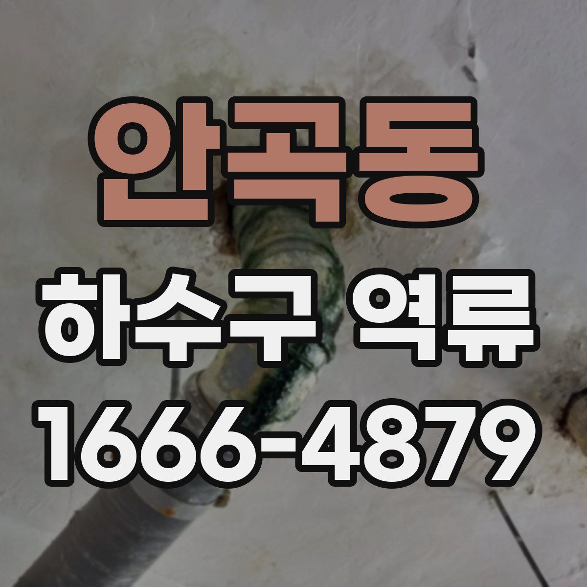 안곡동 하수구 역류