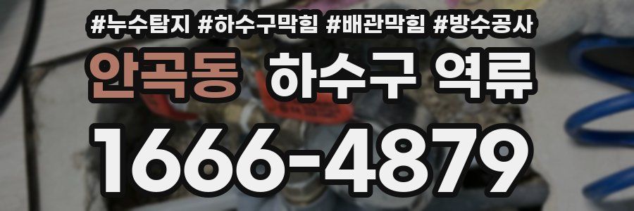 안곡동 하수구 역류