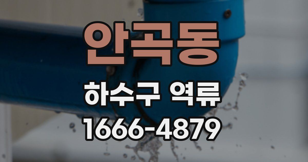 안곡동 하수구 역류