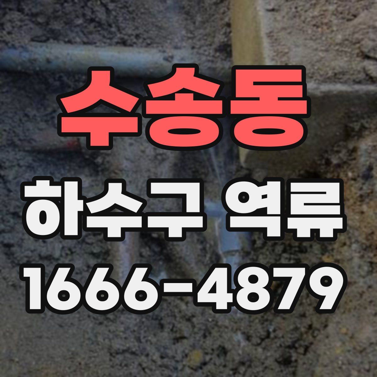 수송동 하수구 역류