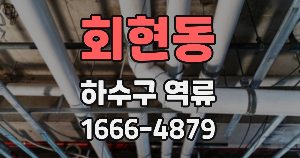회현동 하수구 역류