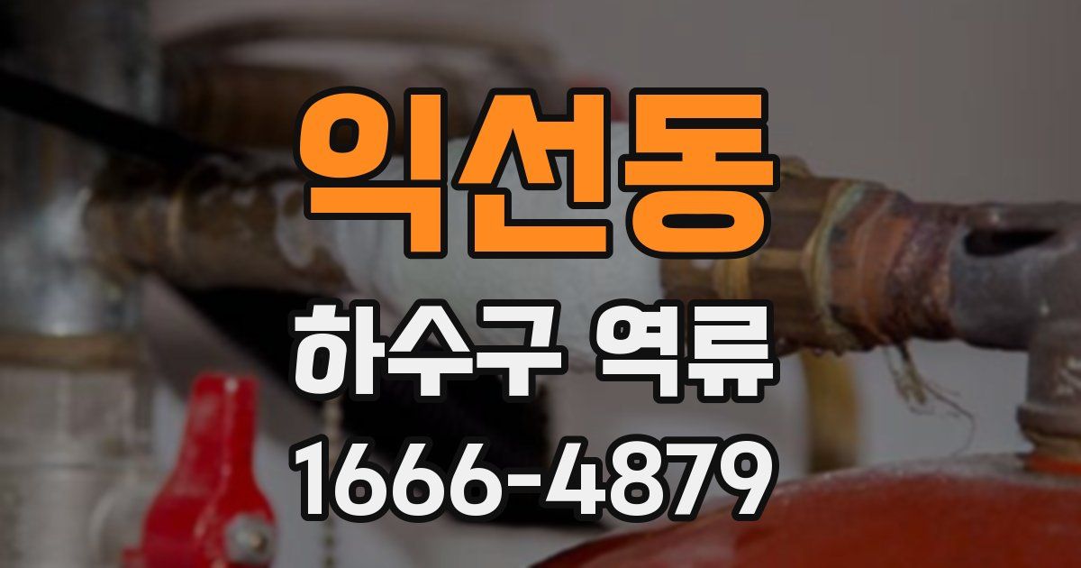 익선동 하수구 역류