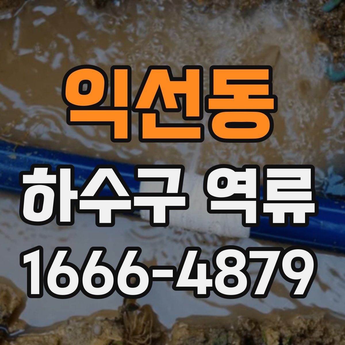 익선동 하수구 역류