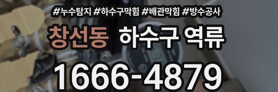 창선동 하수구 역류