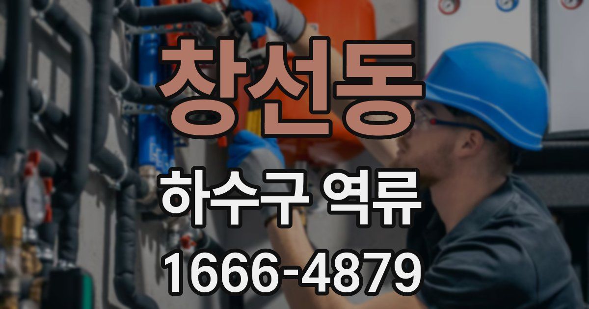 창선동 하수구 역류
