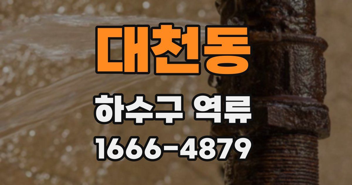 대천동 하수구 역류