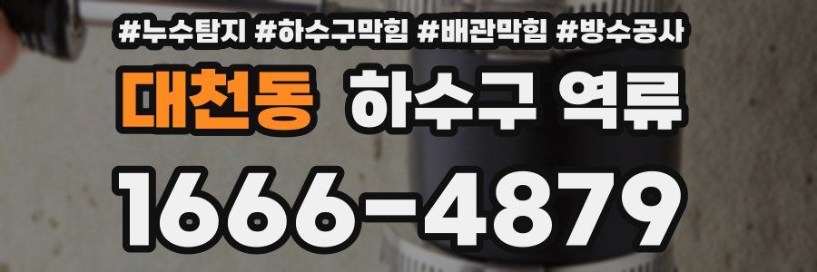대천동 하수구 역류