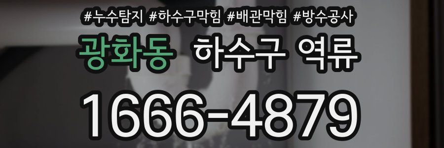 광화동 하수구 역류