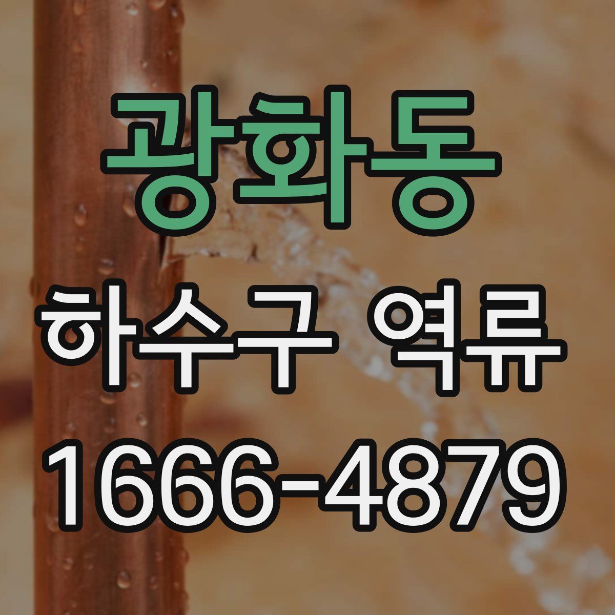 광화동 하수구 역류