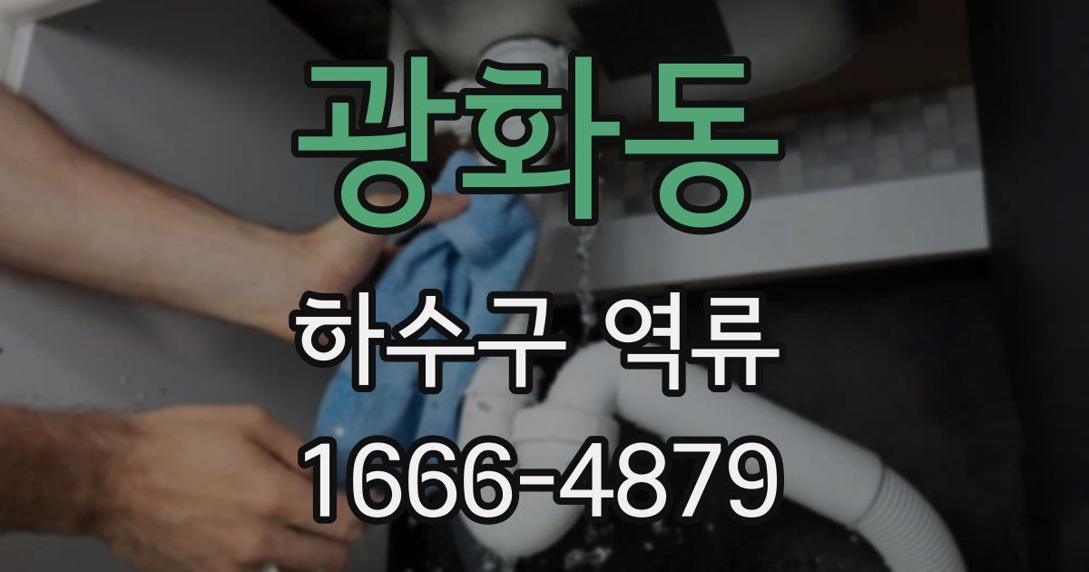 광화동 하수구 역류