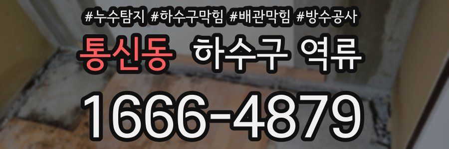 통신동 하수구 역류