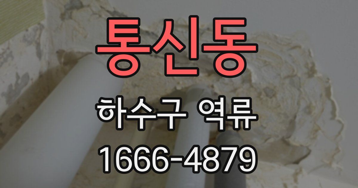 통신동 하수구 역류