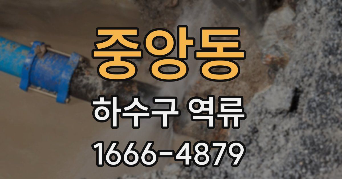 중앙동 하수구 역류