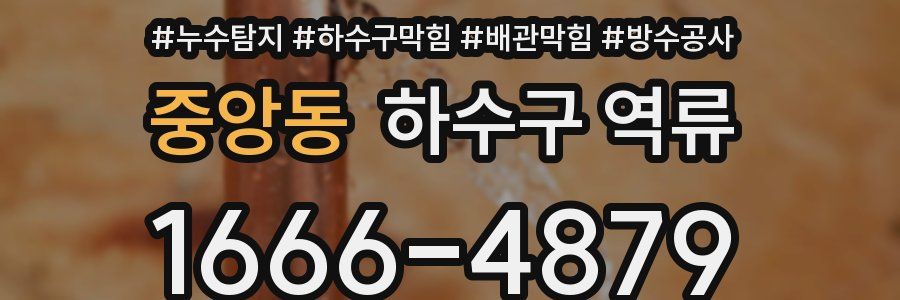 중앙동 하수구 역류