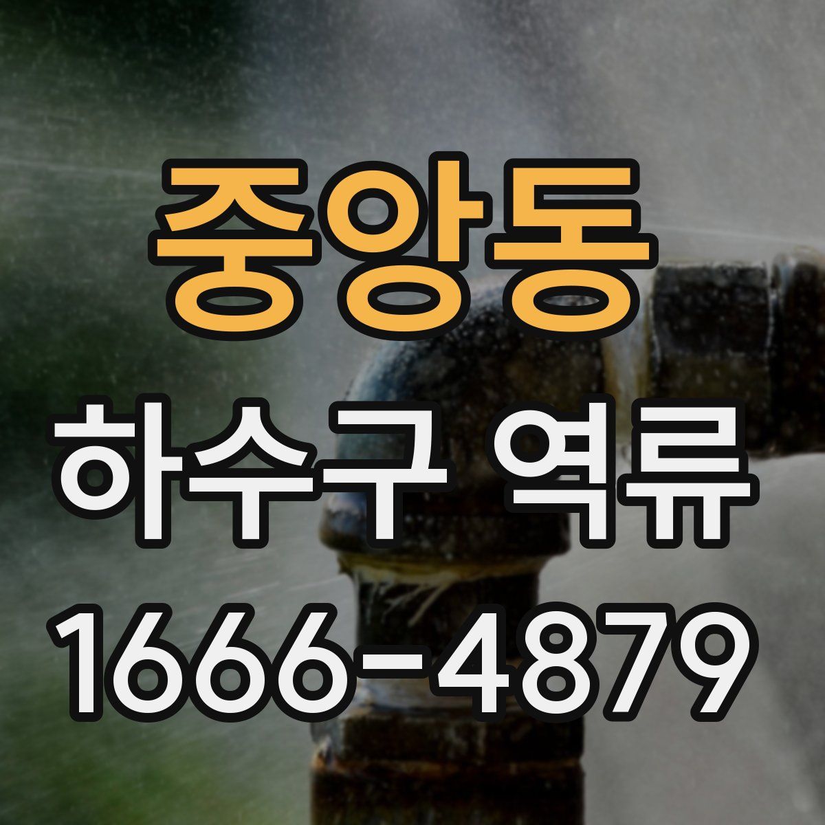 중앙동 하수구 역류