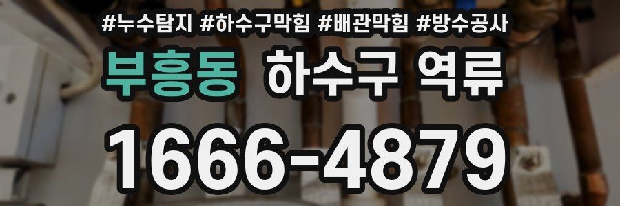 부흥동 하수구 역류