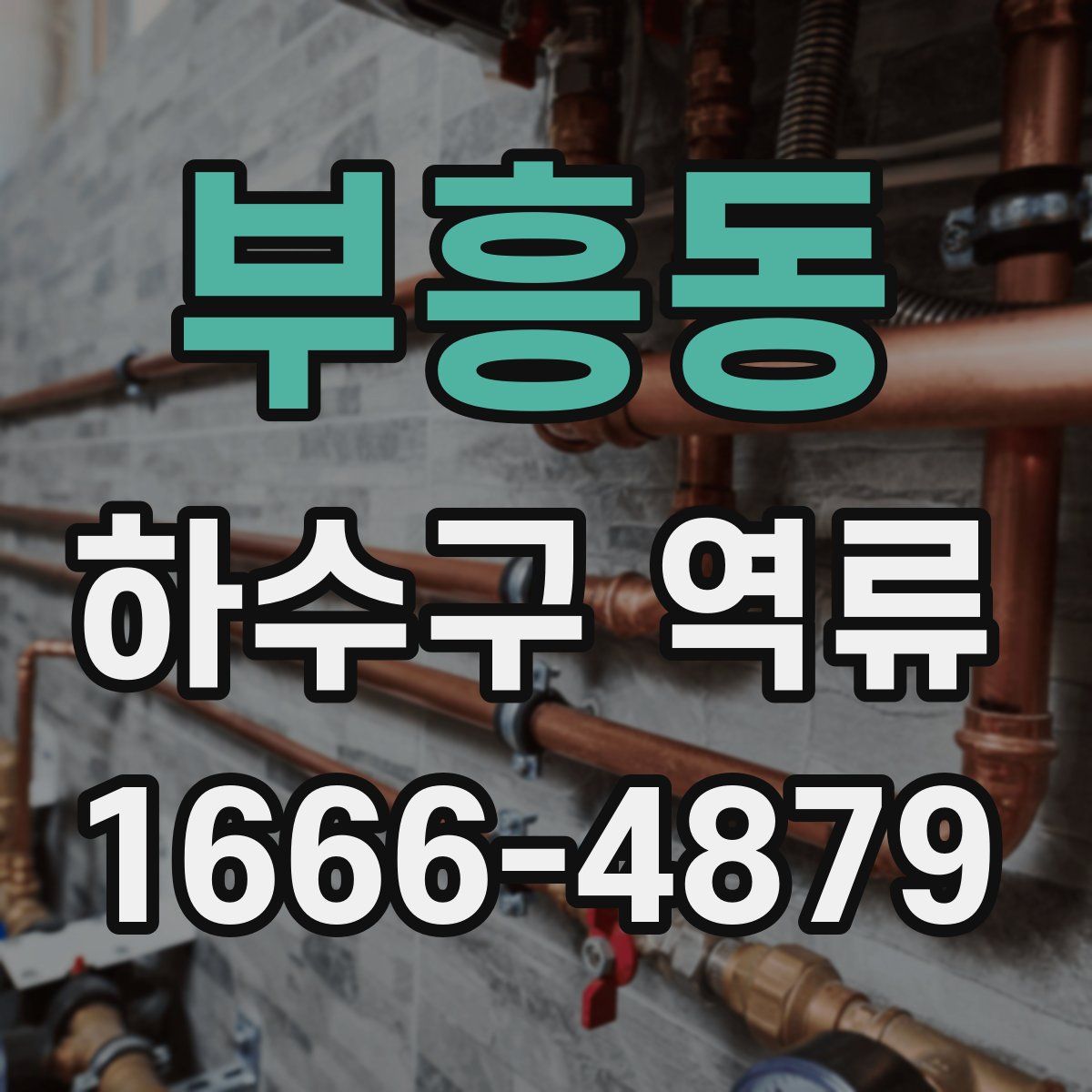 부흥동 하수구 역류