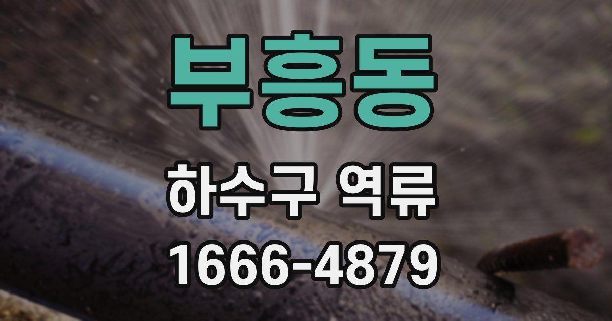 부흥동 하수구 역류