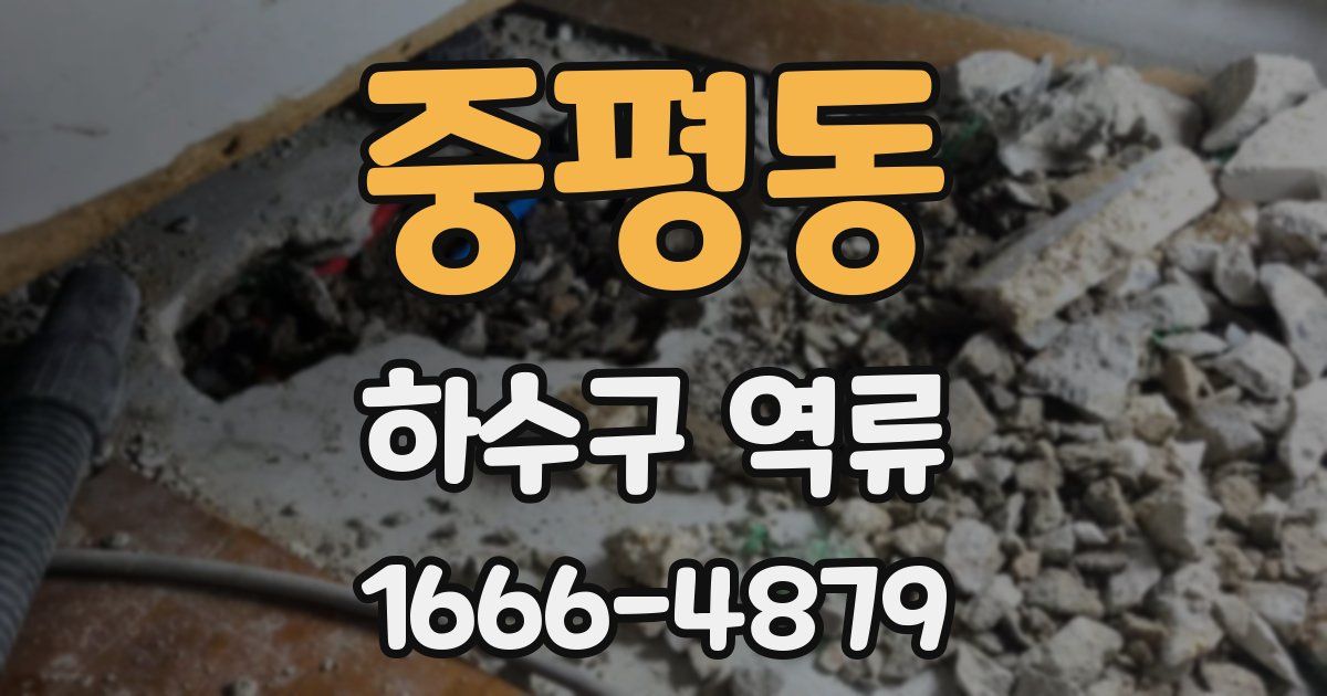 중평동 하수구 역류