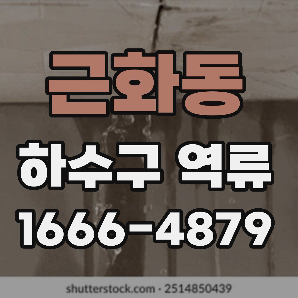 근화동 하수구 역류