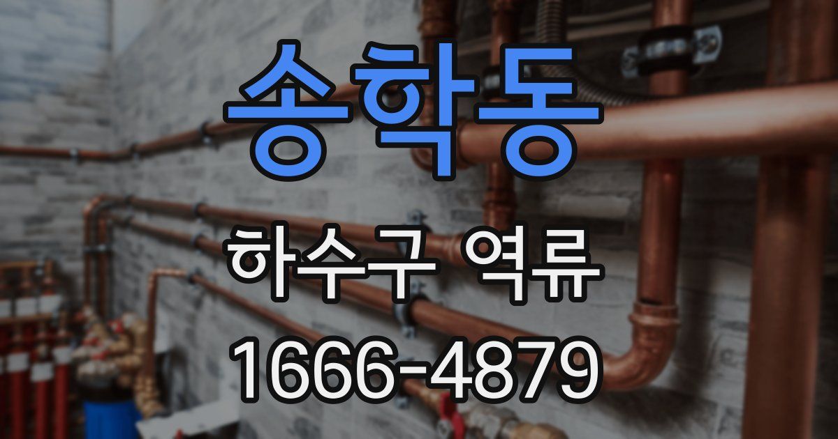 송학동 하수구 역류