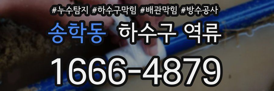 송학동 하수구 역류