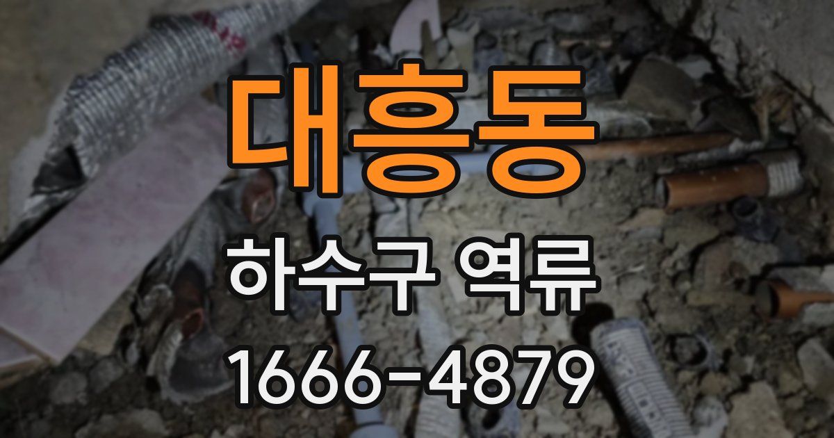 대흥동 하수구 역류