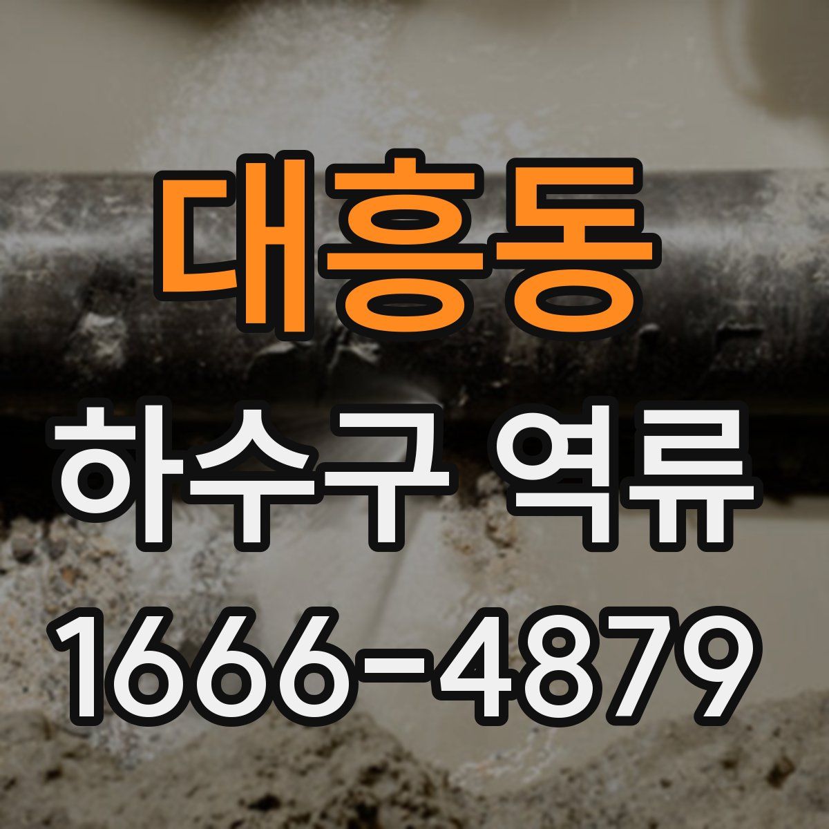 대흥동 하수구 역류