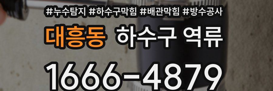 대흥동 하수구 역류