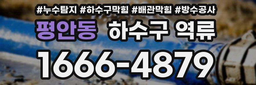 평안동 하수구 역류