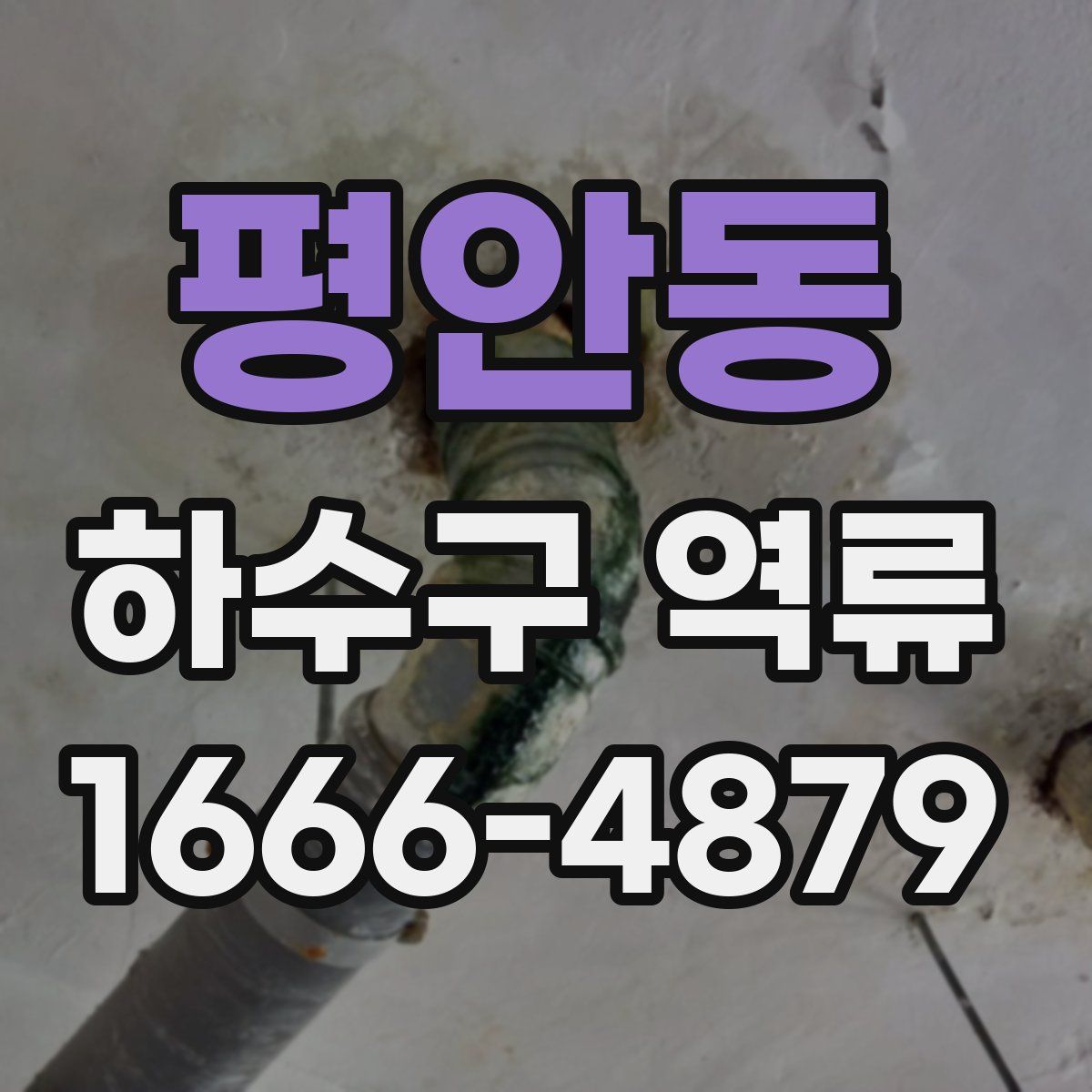 평안동 하수구 역류