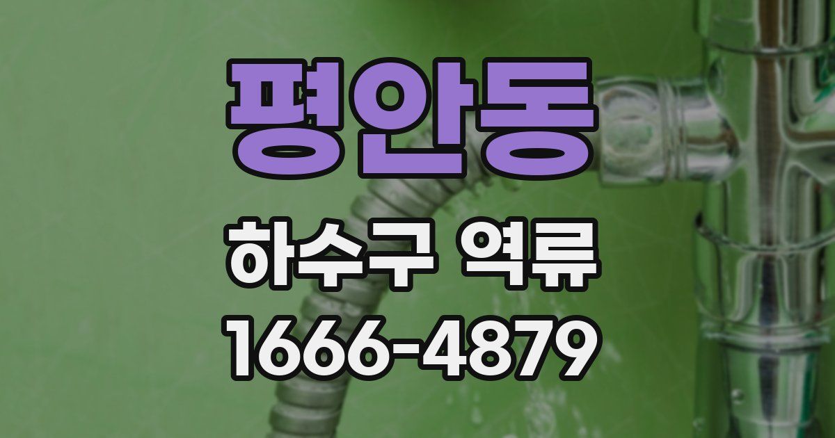평안동 하수구 역류
