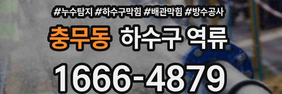 충무동 하수구 역류