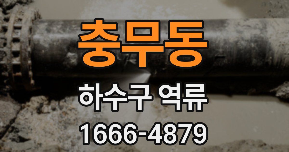충무동 하수구 역류