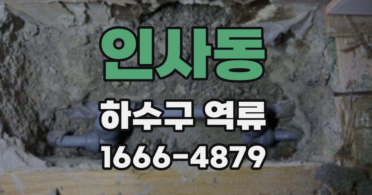 인사동 하수구 역류