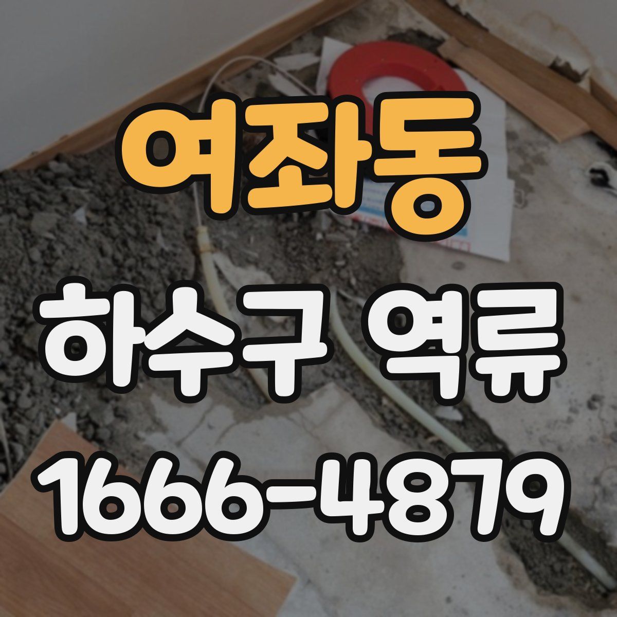 여좌동 하수구 역류