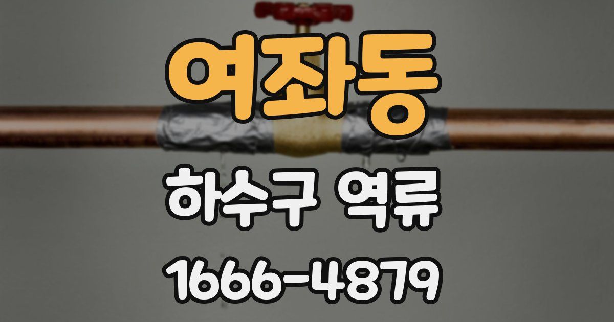 여좌동 하수구 역류