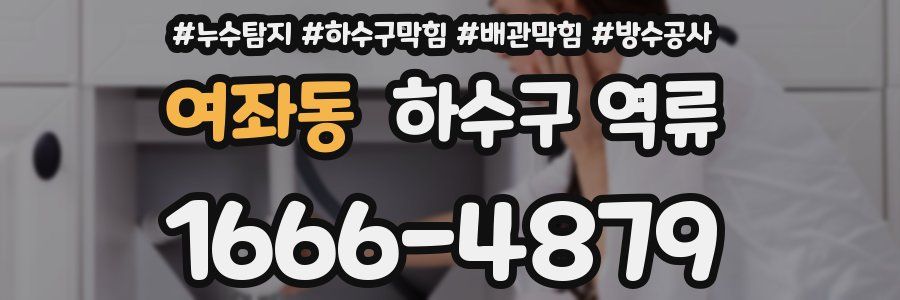 여좌동 하수구 역류