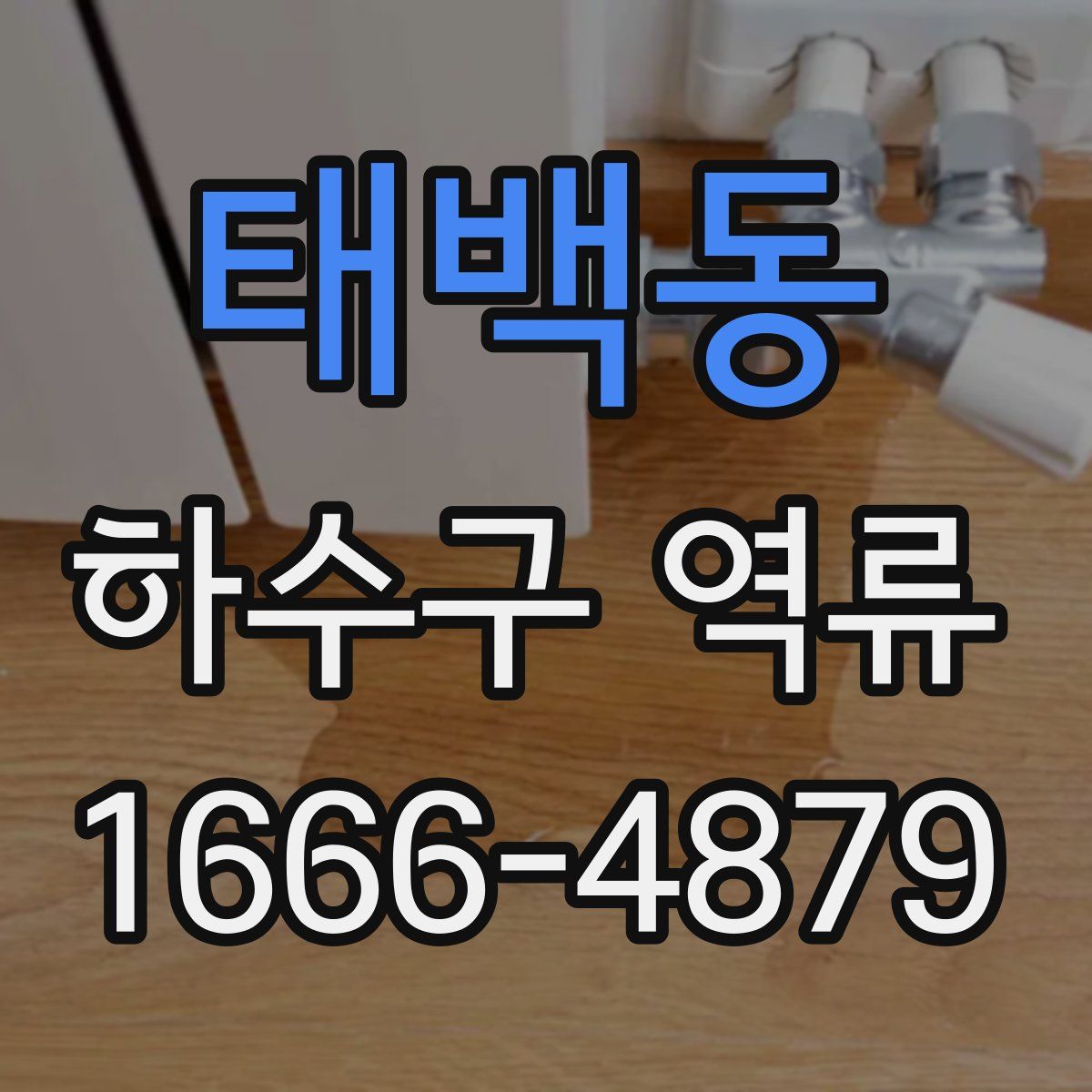 태백동 하수구 역류
