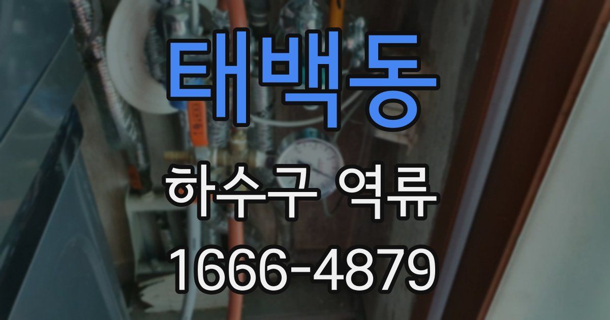 태백동 하수구 역류