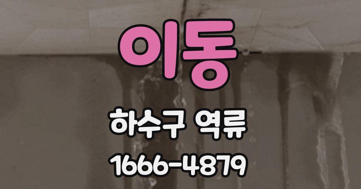 이동 하수구 역류